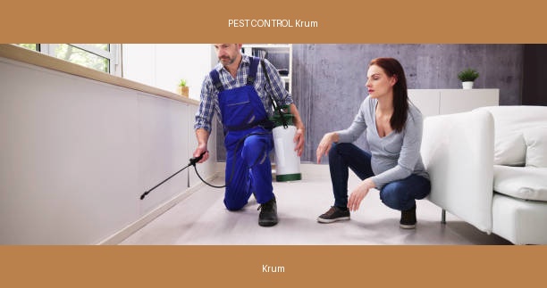 PEST CONTROL Krum